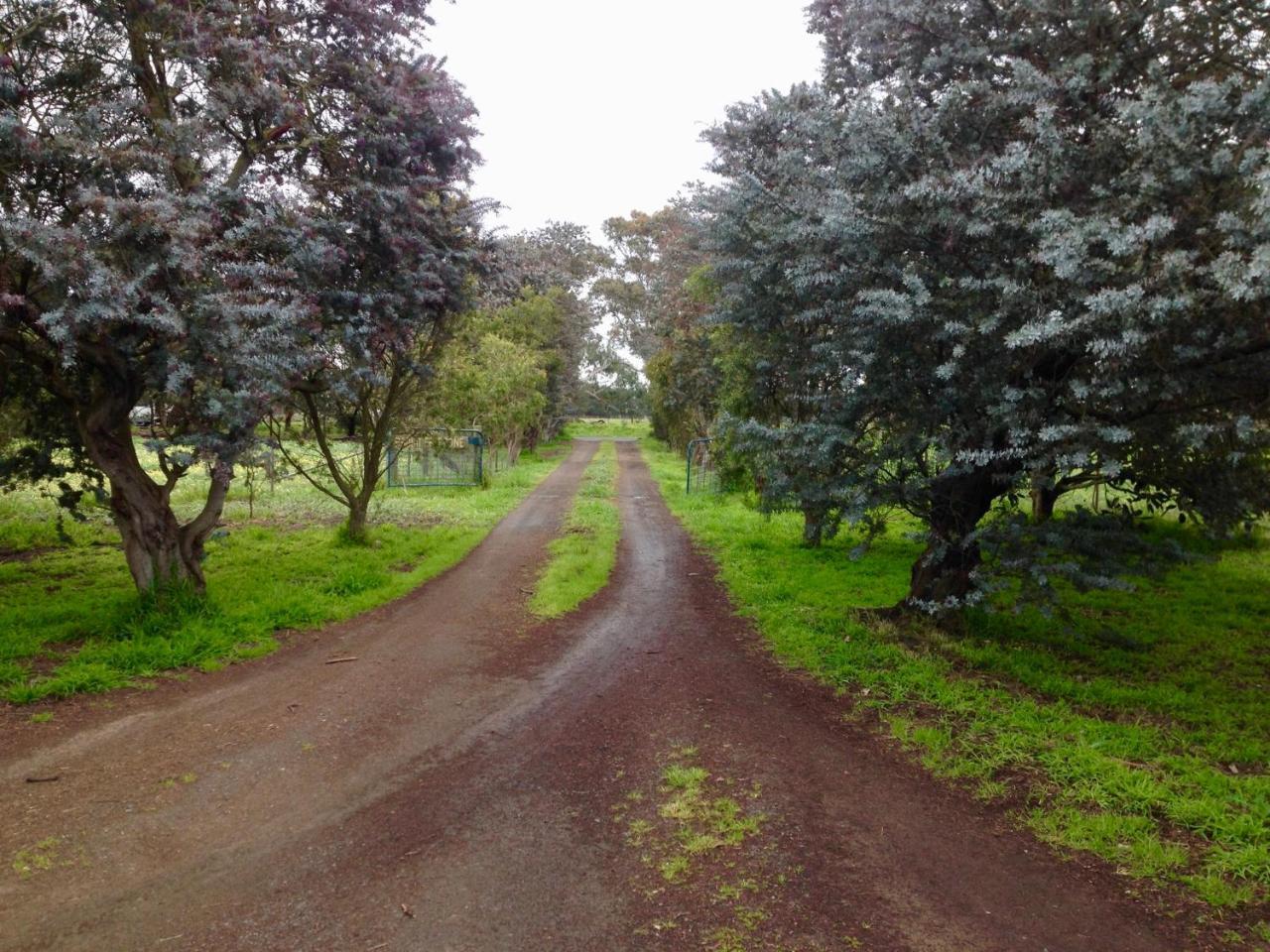 Fairy Wren Cottage Country To Coast Retreat Wallington Esterno foto
